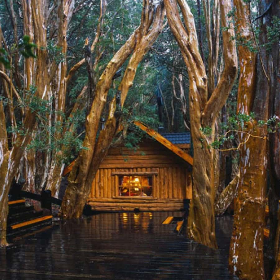 Navigation through Isla Victoria and Bosque de Arrayanes - Key details before you book