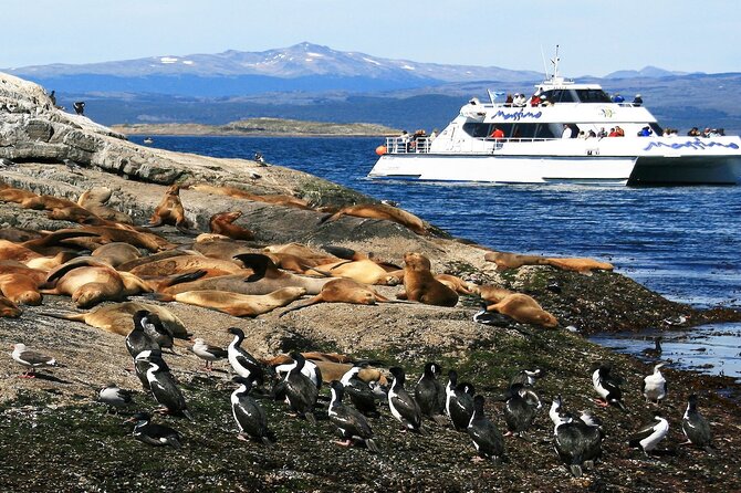 Navigation to Beagle Channel and Sea Lions Island with Transfers - Olivia and Five Brothers Mountains