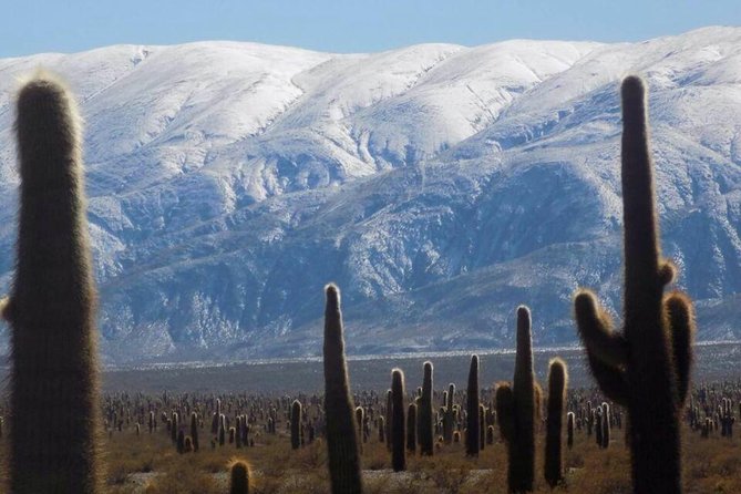 One Day Tour of Cachi and Calchaquí Valleys from Salta - Bishop’s Cliff and the Enchanted Valley views