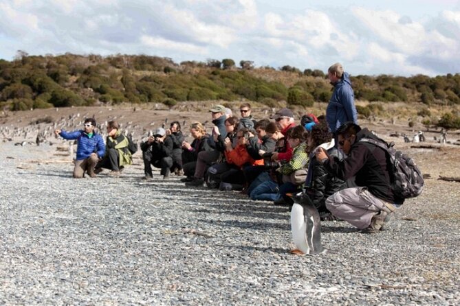 Penguin walk in Ushuaia + navigation option - Starting at the Ushuaia pier