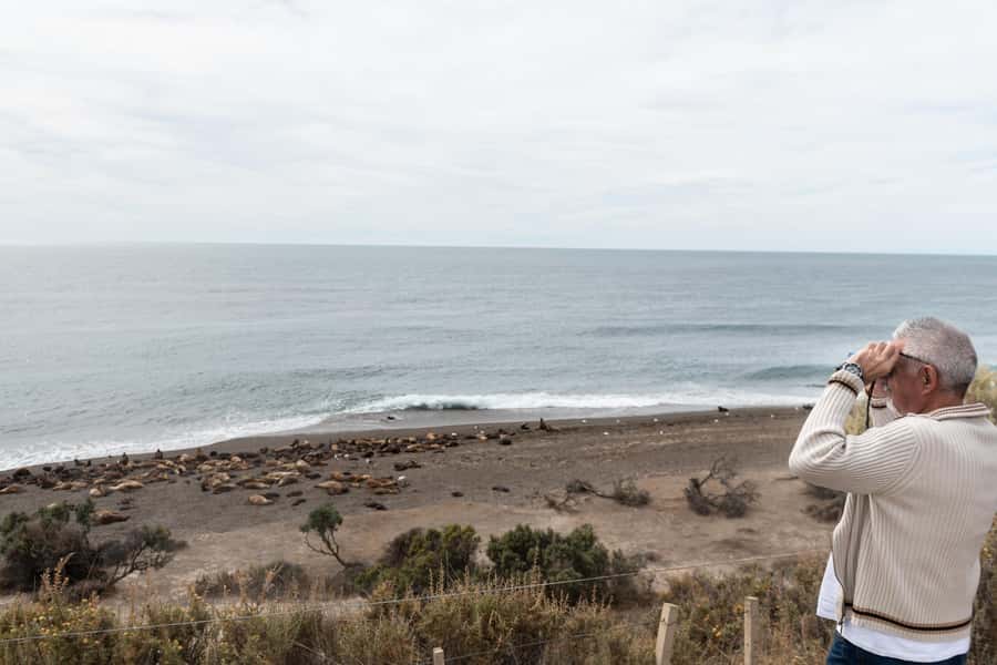 Peninsula Valdes Full Day Tour - Why Peninsula Valdés deserves a full day