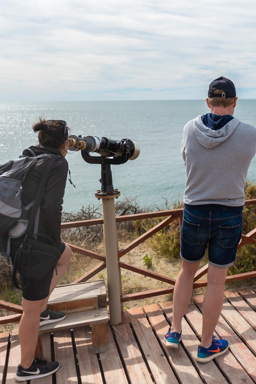 Peninsula Valdes Full Day Tour - Caleta Valdés and seasonal penguins