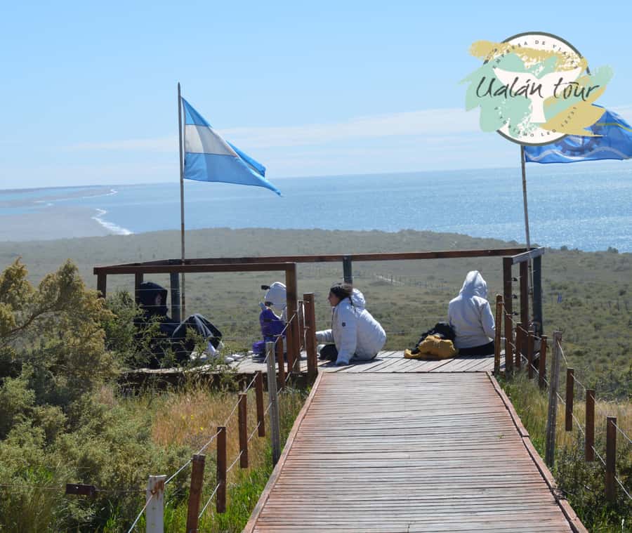 Peninsula Valdes: Shore excursion for cruise passengers - The long road to Caleta Valdes