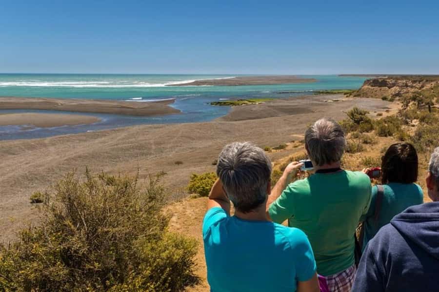 Peninsula Valdes Shore Tour for Cruise Passengers + City - Key points at a glance