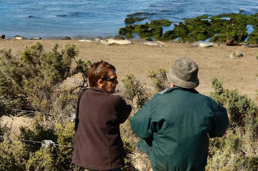 Peninsula Valdes Shore Tour for Cruise Passengers + City - What the $105 price really covers