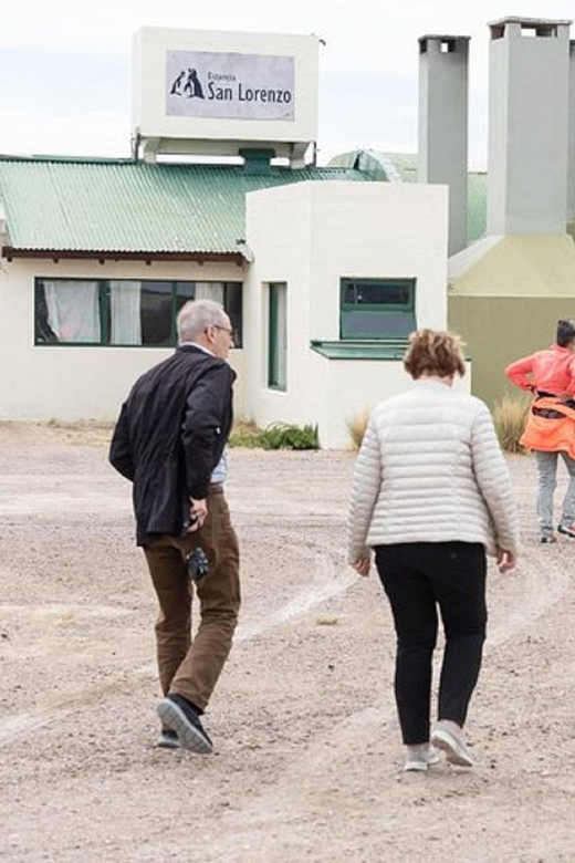Península Valdés with Estancia San Lorenzo (Full Day) - What the $179 price really covers