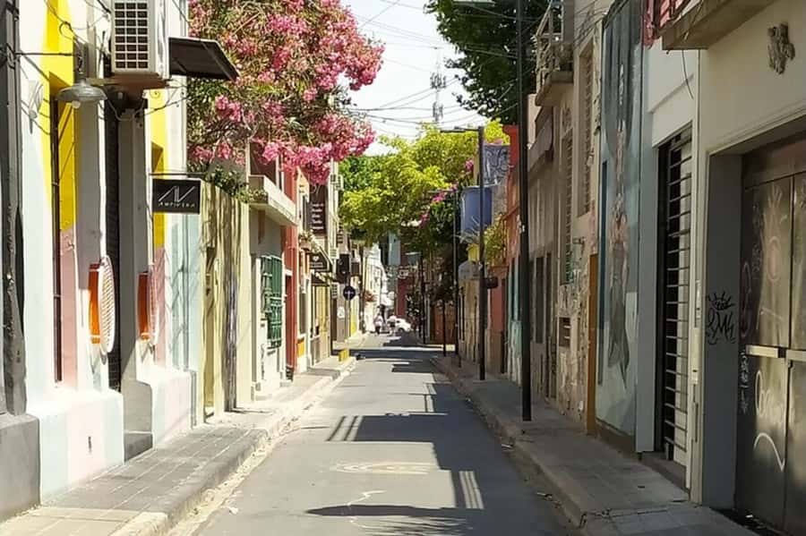 Premium Argentinian Wine and Malbec Tasting & Urban Art Tour - Palermo Soho gives the tasting its local flavor