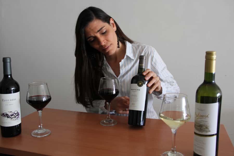 Premium Argentinian Wines and Malbec Tasting Experience - Who Will Enjoy This Most