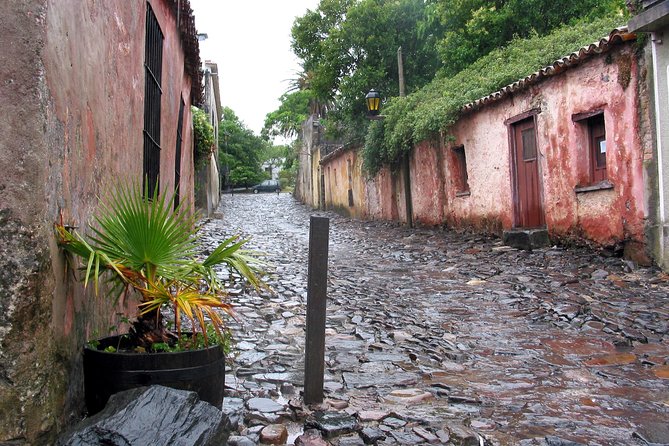 Premium Day Tour to Colonia del Sacramento - Customs, ferry timing, and the parts that require patience