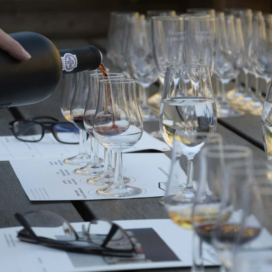 Premium Empanadas Cooking Class & Wine Tasting Experience - Who Should Book This Experience