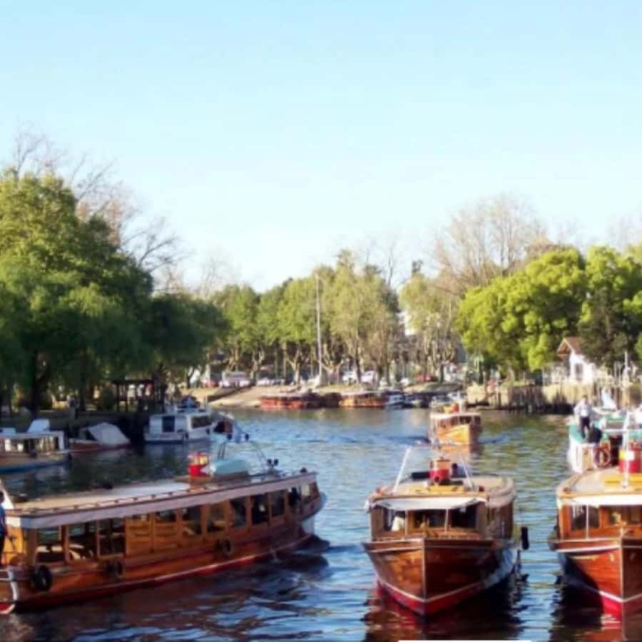 Private City Tour of Buenos Aires + Tigre Delta - Tigre and thirty minutes at Puerto de Frutos