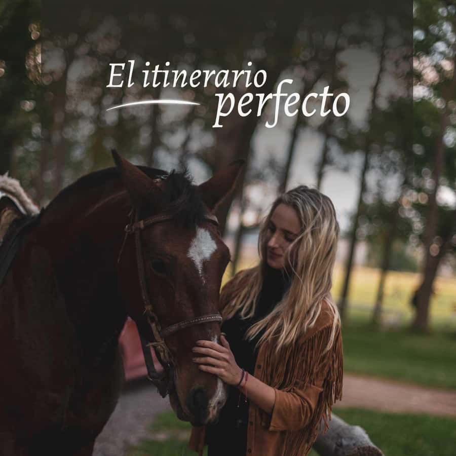 Private Experience: Horseback Riding and BBQ in the Mountain - Estancia La Carrera - Reaching Estancia El Pico from Mendoza