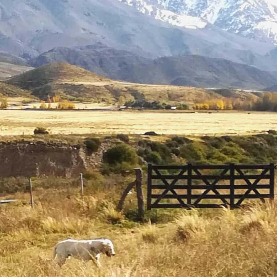 Private Experience: Horseback Riding and BBQ in the Mountain - Estancia La Carrera - Empanadas first, then a full Argentine barbecue