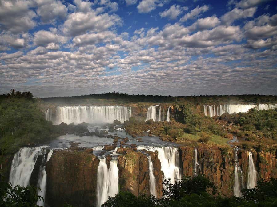 Puerto Iguazú: Brazilian Falls Half-Day Panoramic Tour - The park shuttle makes the rainforest approach easier
