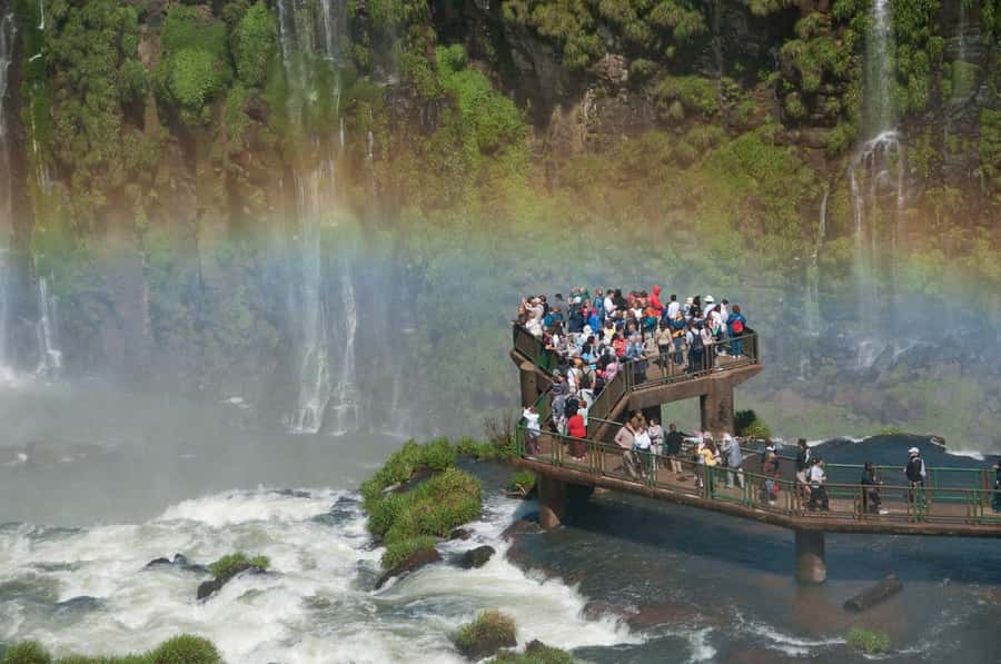 Puerto Iguazú: Brazilian Falls Half-Day Panoramic Tour - What the $49 price really covers