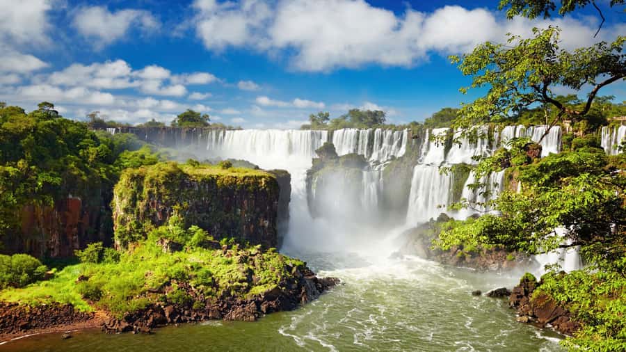 Puerto Iguazú: Brazilian Falls Half-Day Panoramic Tour - Who will enjoy this half-day outing most