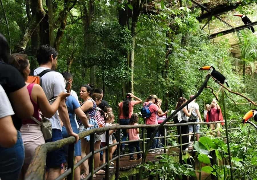 Puerto Iguazu: Iguaza Falls Brazilian Side & Bird Park Tour - What the Bird Park adds to the day