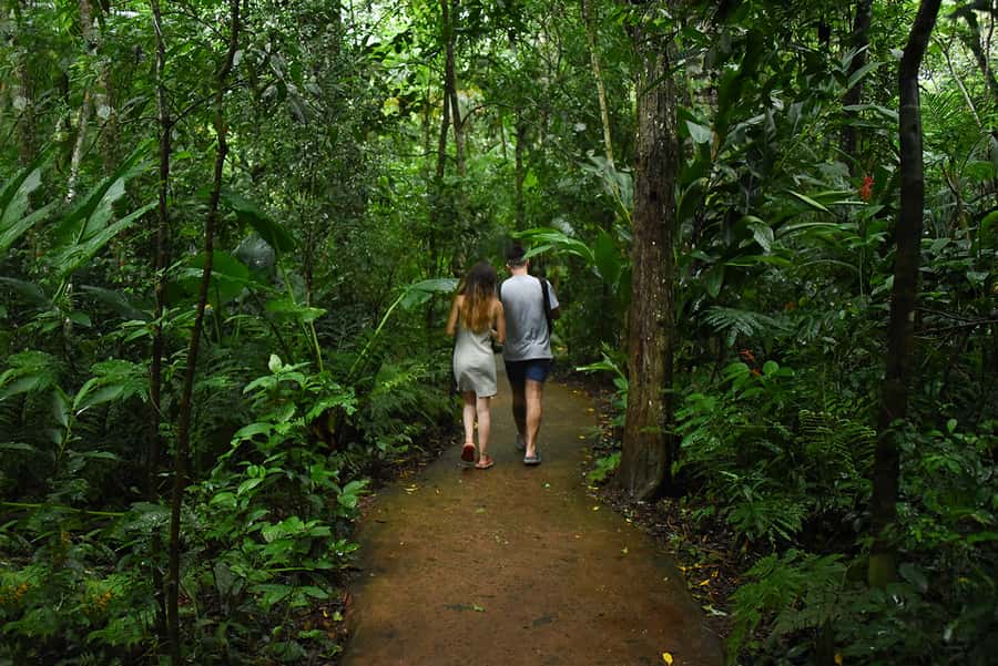 Puerto Iguazu: Iguaza Falls Brazilian Side & Bird Park Tour - What the $46 price really covers