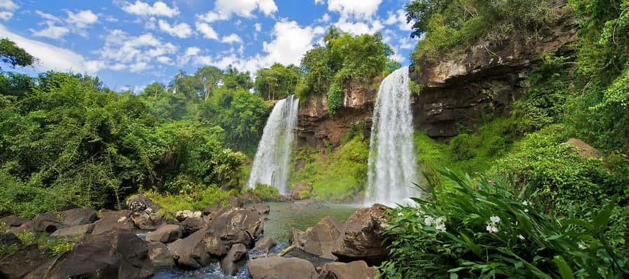 Puerto Iguazu: Iguazu Falls Argentinian Side Full-Day Tour - What the guides add to a mostly independent day