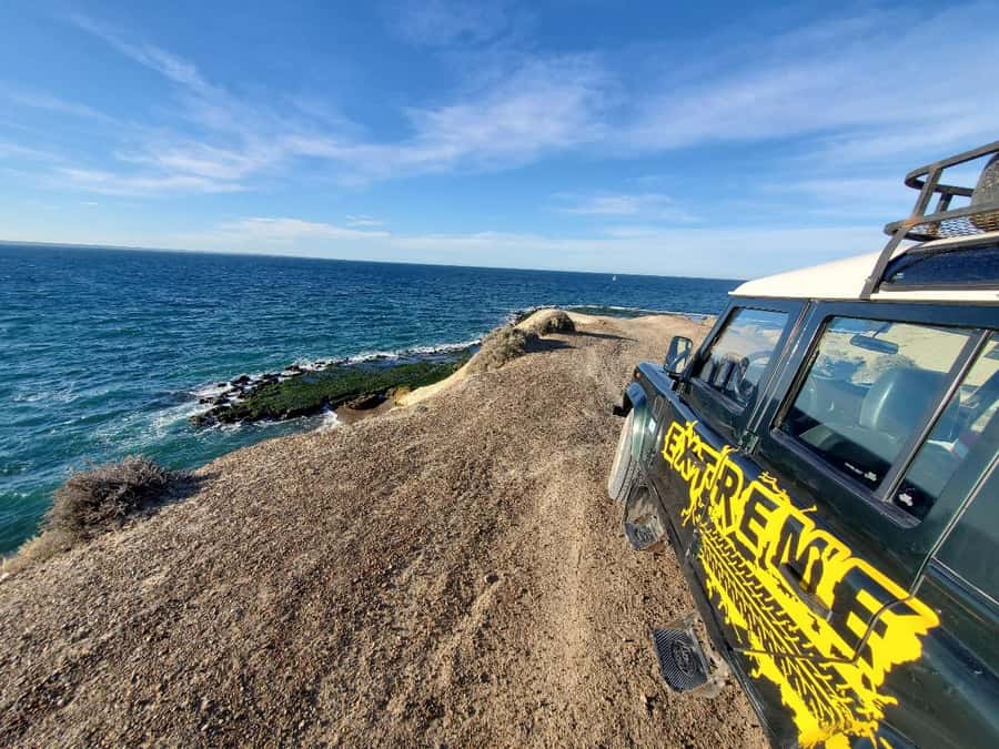 PUERTO MADRYN: 4 X 4 ADVENTURE EXPERIENCE ON THE MOST BEAUTIFUL BEACHES! - Punta Este and the intertidal shore