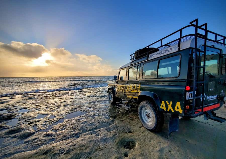 PUERTO MADRYN: 4 X 4 ADVENTURE EXPERIENCE ON THE MOST BEAUTIFUL BEACHES! - Punta Loma Reserve and the sea lions