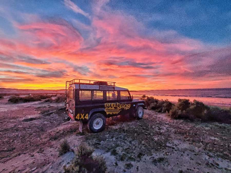 PUERTO MADRYN: 4 X 4 ADVENTURE EXPERIENCE ON THE MOST BEAUTIFUL BEACHES! - What the ride feels like inside a Defender