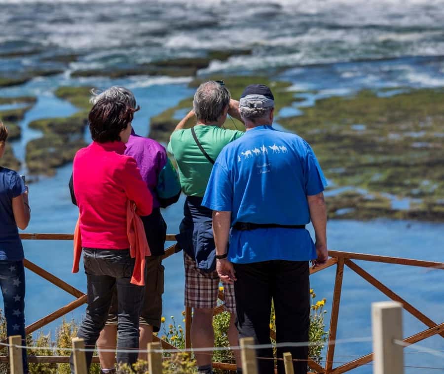 Puerto Madryn: Full Day Peninsula Valdes Experience Tour - Who should book this Peninsula Valdes tour?