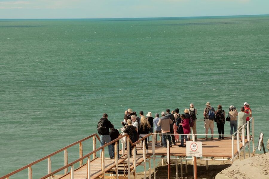 Puerto Madryn: Full Day Peninsula Valdes Experience Tour - How the $120 price works in practice