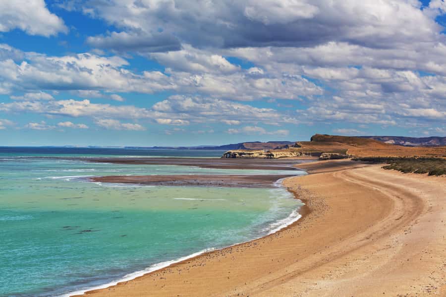 Puerto Madryn: Península Valdes with optional Whale Watching - Why Península Valdés is worth the long day