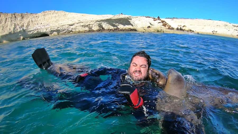 Puerto Madryn: Snorkeling Trip with Sea Lions - Who should book this sea lion outing?