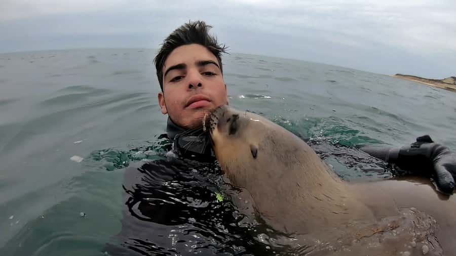 Puerto Madryn: Snorkeling Trip with Sea Lions - Guides, equipment, and the feel of the operation