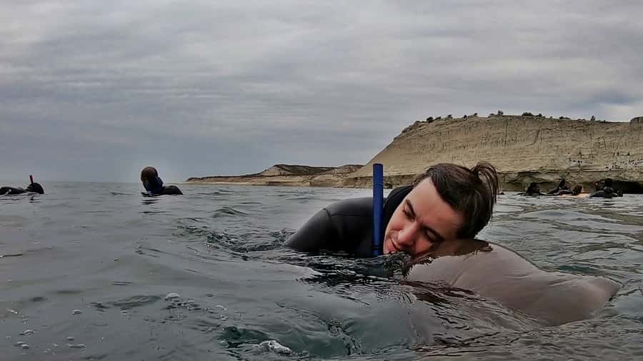 Puerto Madryn: Snorkeling Trip with Sea Lions - Is $150 a fair price?