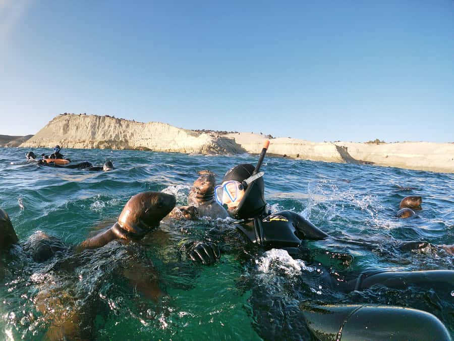PUERTO MADRYN , SNORKELING WITH SEA LIONS - Reaching Punta Loma from Puerto Madryn