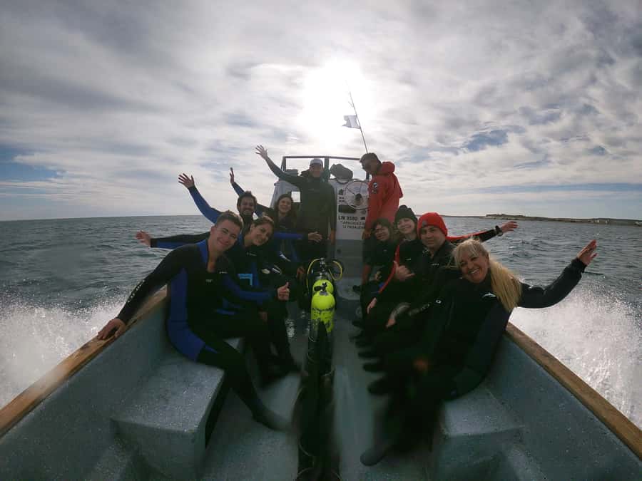 PUERTO MADRYN , SNORKELING WITH SEA LIONS - Who should book this swim