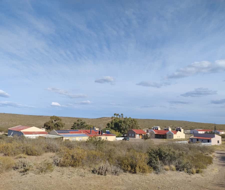 Punta Loma + Ranch Shore Excursion for cruise passengers - Sheep shearing at San Guillermo Ranch