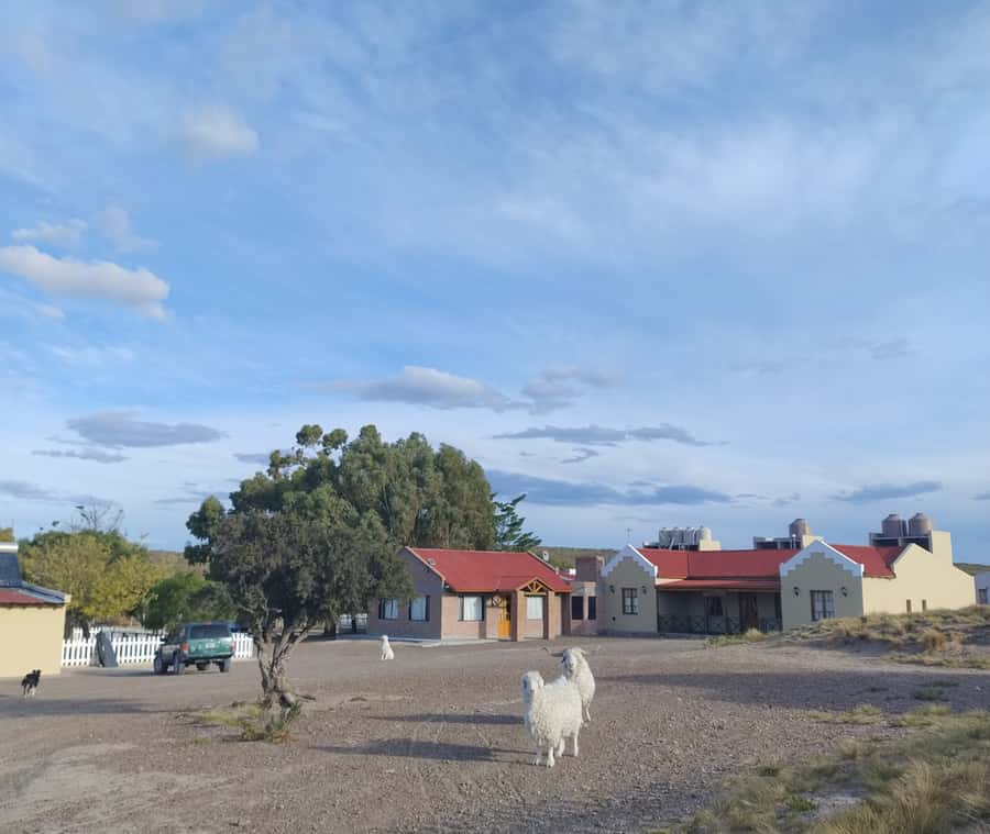 Punta Loma + Ranch Shore Excursion for cruise passengers - How the four-hour schedule feels
