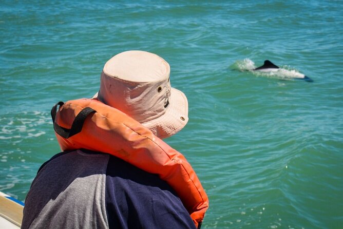 Punta Tombo Penguin Colony from Puerto Madryn with optional Toninas Watching - Timing, weather, and what to bring