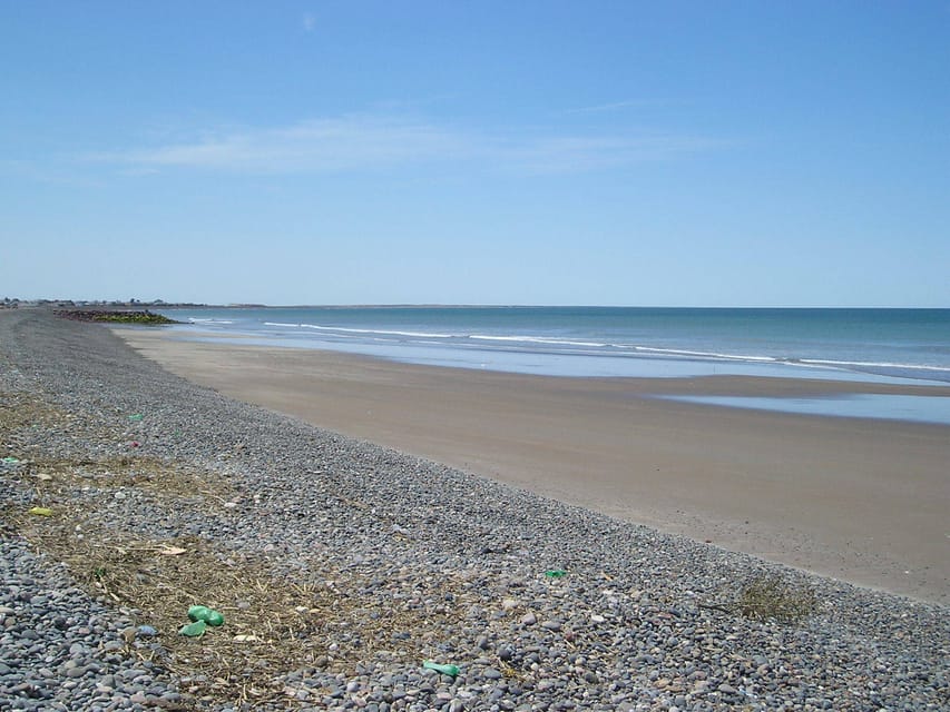 Punta Tombo Penguin Tour & Optional Tonina Watching - Should you book the Punta Tombo tour?