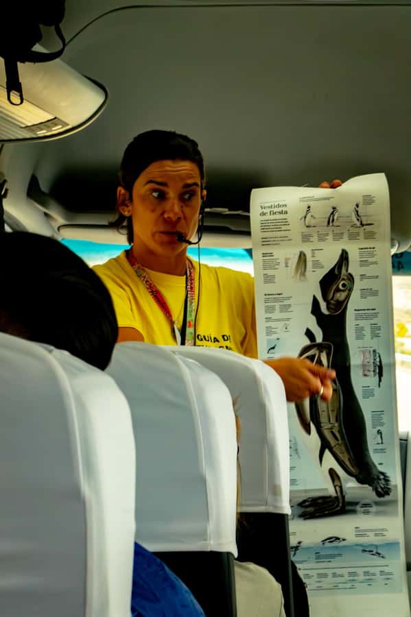 Punta Tombo Shore Excursion for Cruise Passengers + City - Who will enjoy this excursion most