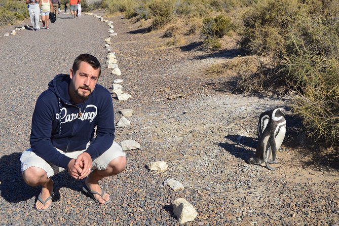 Punta Tombo Tour, the Penguin Experience - Timing, comfort, and the group experience