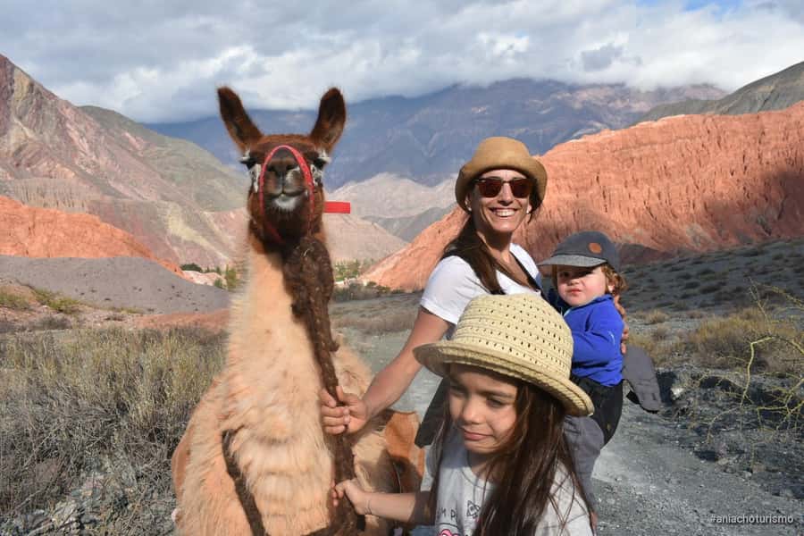 Purmamarca: Hiking with Llamas through multicolored mountains - Key points to know before you book