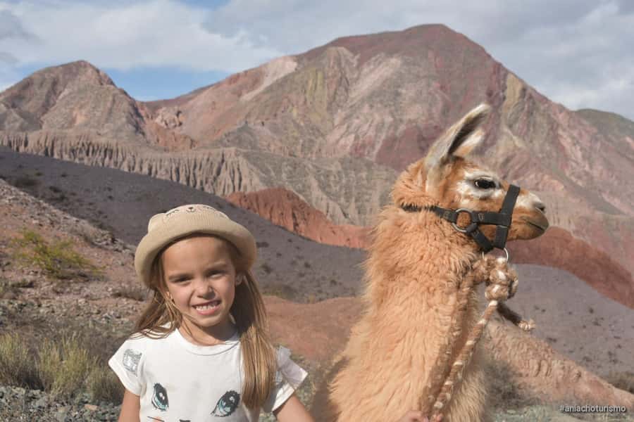 Purmamarca: Hiking with Llamas through multicolored mountains - What the llama walk feels like