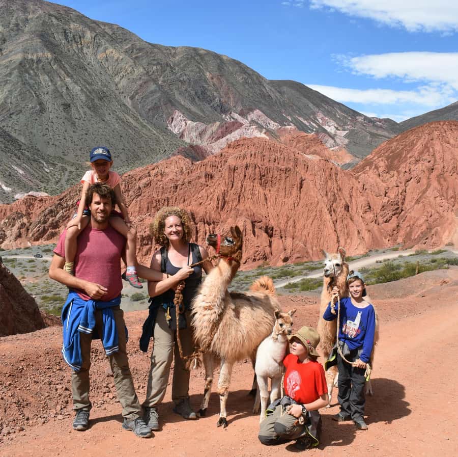Purmamarca: Hiking with Llamas through multicolored mountains - The guide’s stories: geology, plants, and Pachamama
