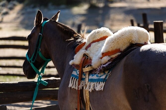Ride Experience - Canyons & Mounts - Crossing the Calafate Creek canyon