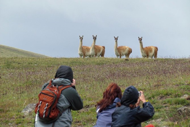 Safari Experience - Wildlife & Steppe - A changing steppe as the altitude rises