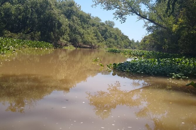 Safari náutico en tigre - Water skiing, swimming, and time on the boat