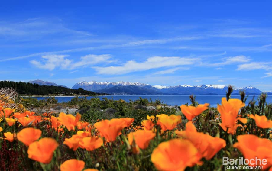 San Martín de los Andes por 7 Lagos - Practical planning for an easier day