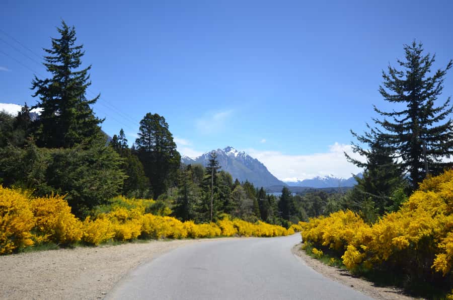 San Martín de los Andes por 7 Lagos - Why the Seven Lakes Route is worth a full day