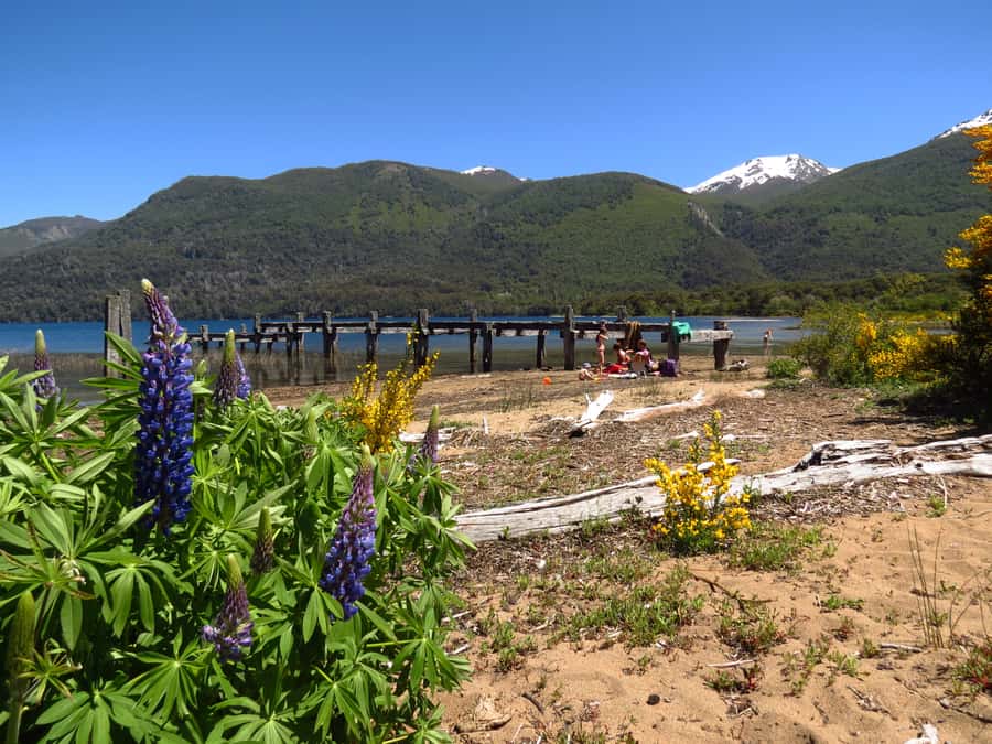 San Martín de los Andes por 7 Lagos - The seven lakes, one after another