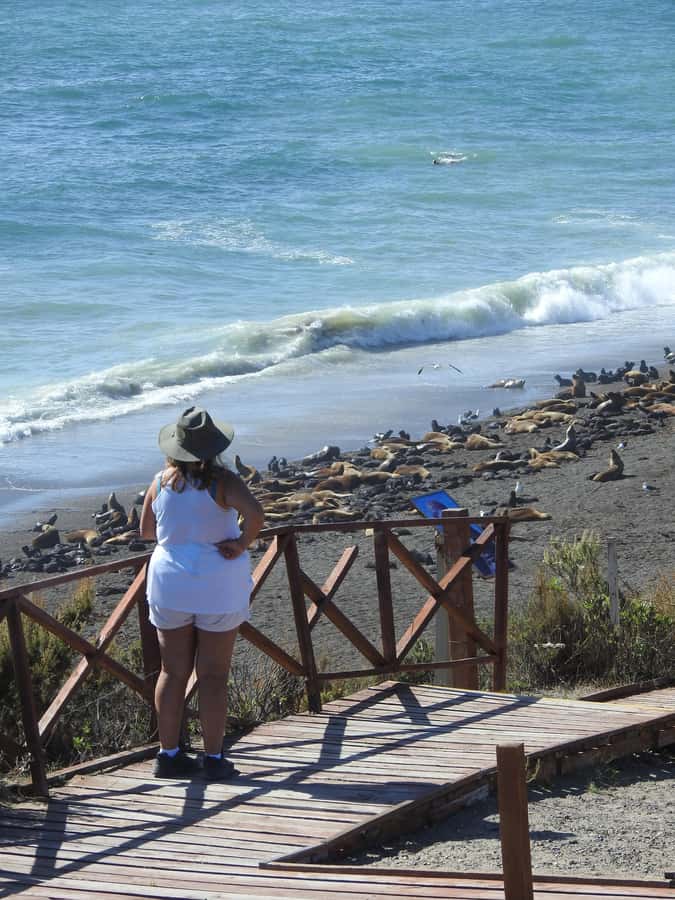 Shore Tours Peninsula Valdes Puerto Madryn Cruise Passengers - Why Peninsula Valdés Is Worth the Long Ride